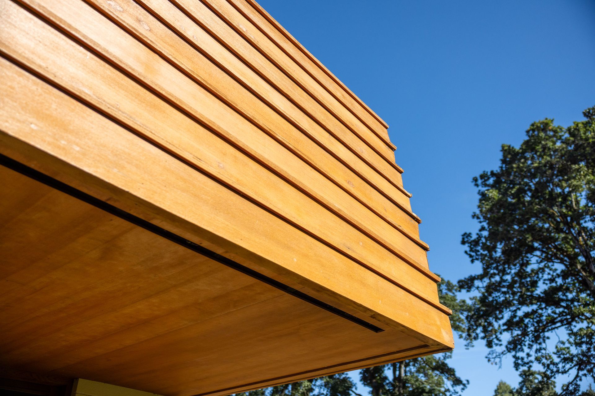 Close-up of a building's wooden siding and soffit, with a bright blue sky and tree in the background.