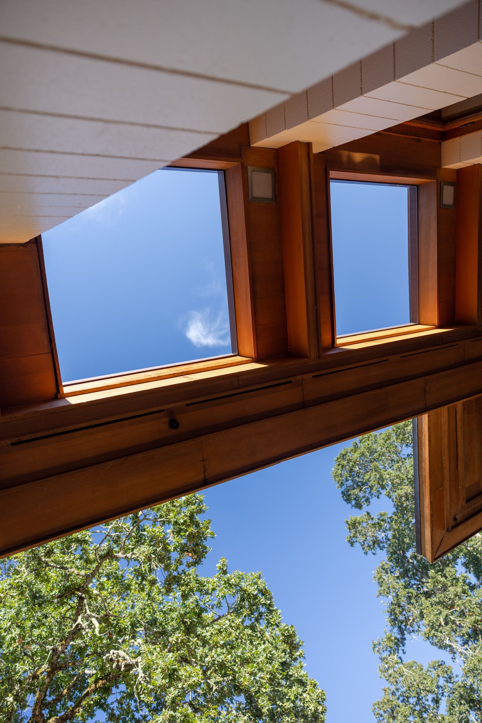 Looking up through a wooden structure at a blue sky, trees visible in the bottom.