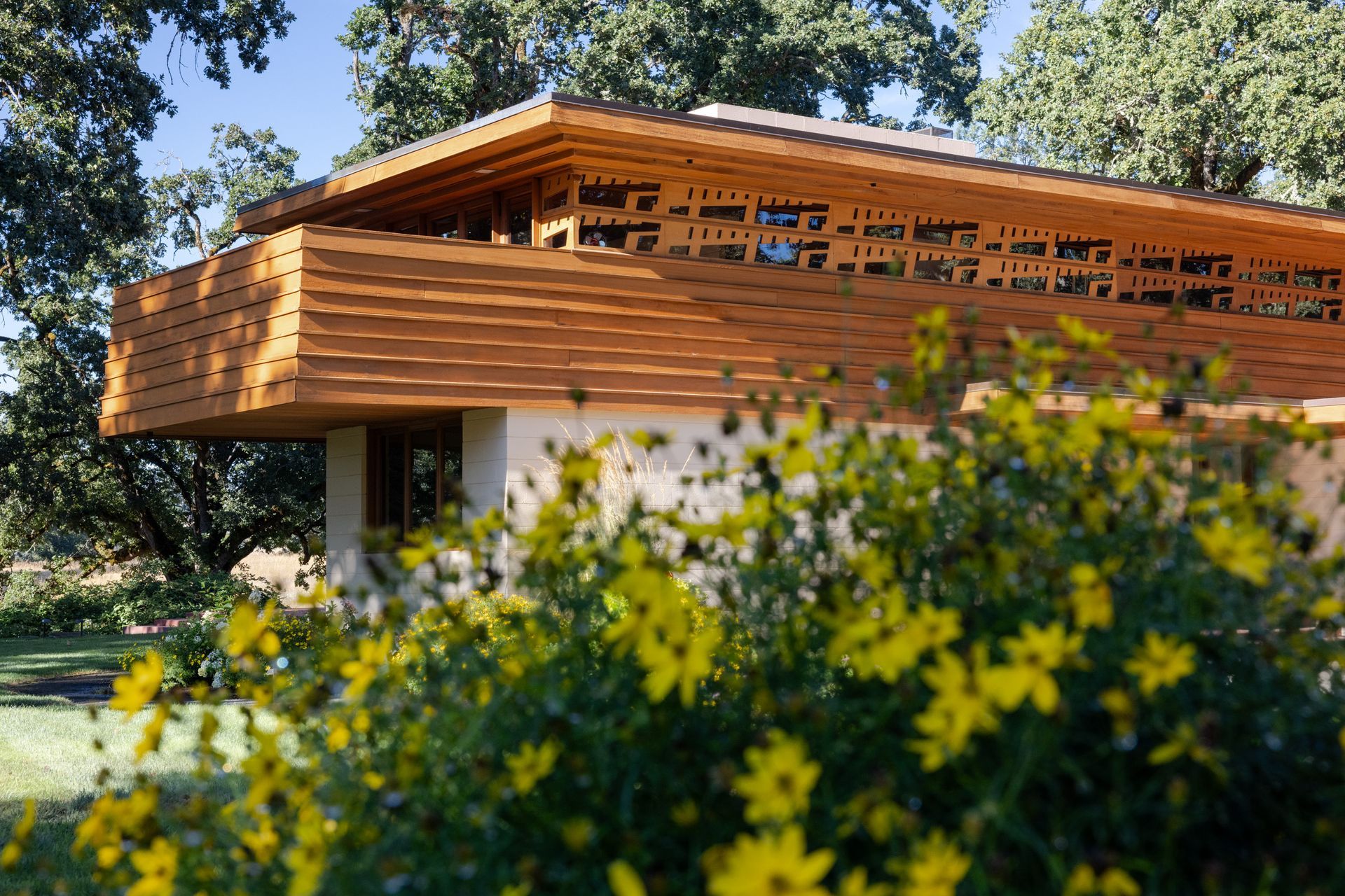 Wooden-roofed building with patterned trim and tan siding, viewed from below through yellow wildflowers.