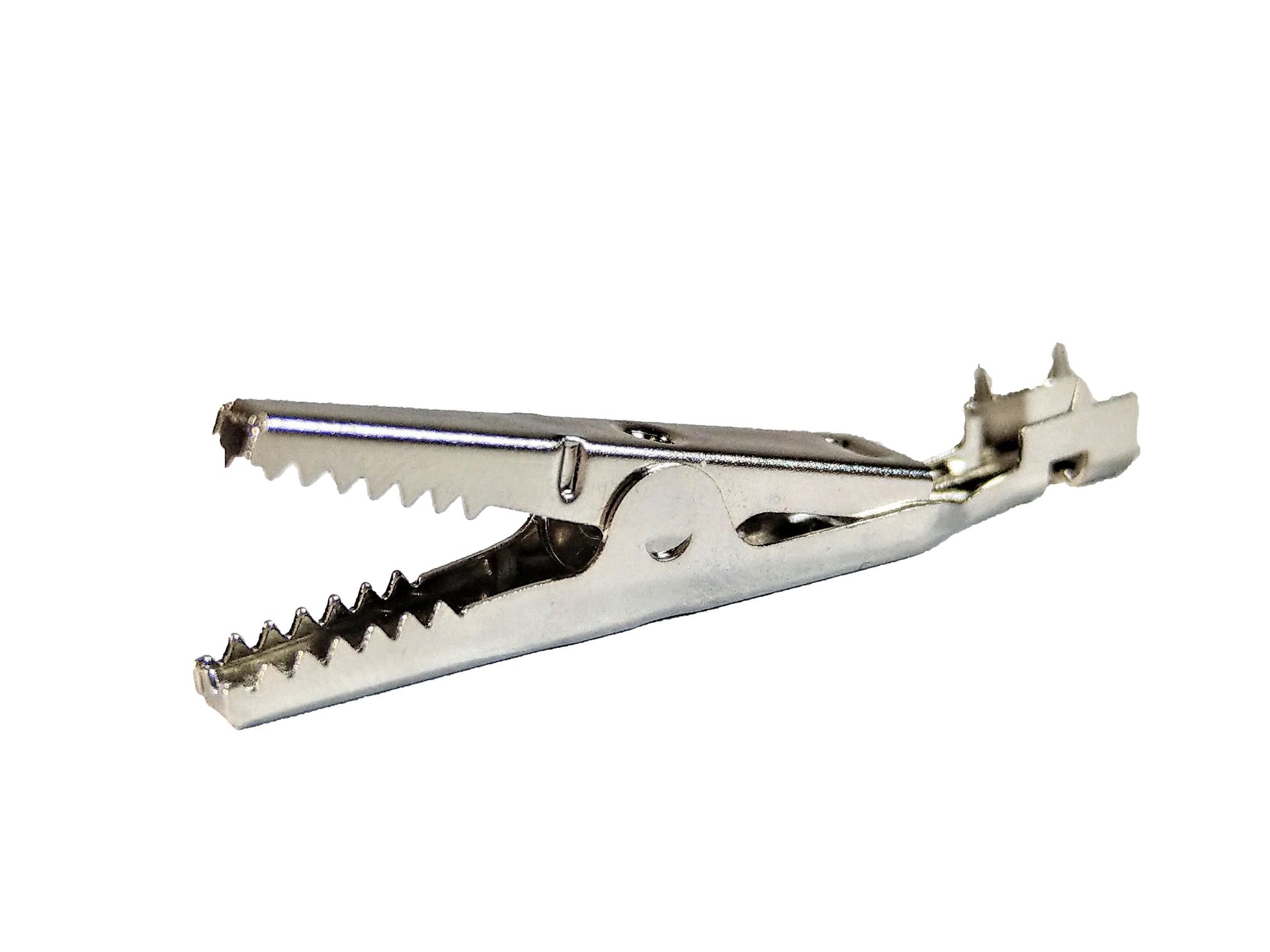 A close up of a metal crocodile clip on a white background