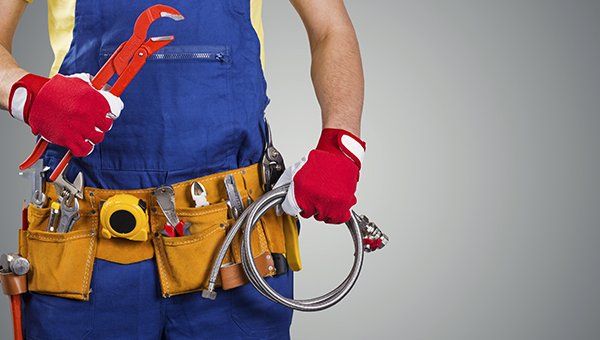 un idraulico con una divisa blu con attrezzi nelle tasche e in mano un tubo grigio e un pappagallo rosso