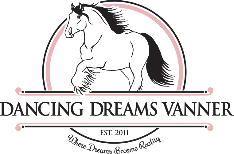 Dancing Dreams Vanner | Gypsy Vanner Horse Farm