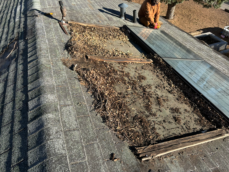 Man on a rooftop clearing debris around a skylight. Roof shingles, wood trim, and foliage are visible.