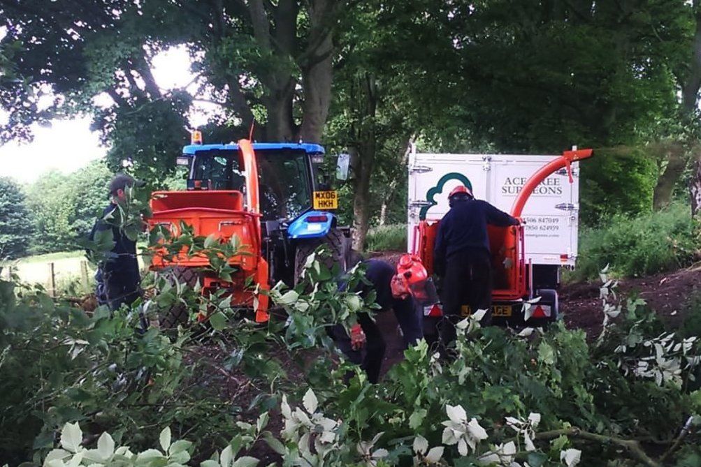 Tree surgery