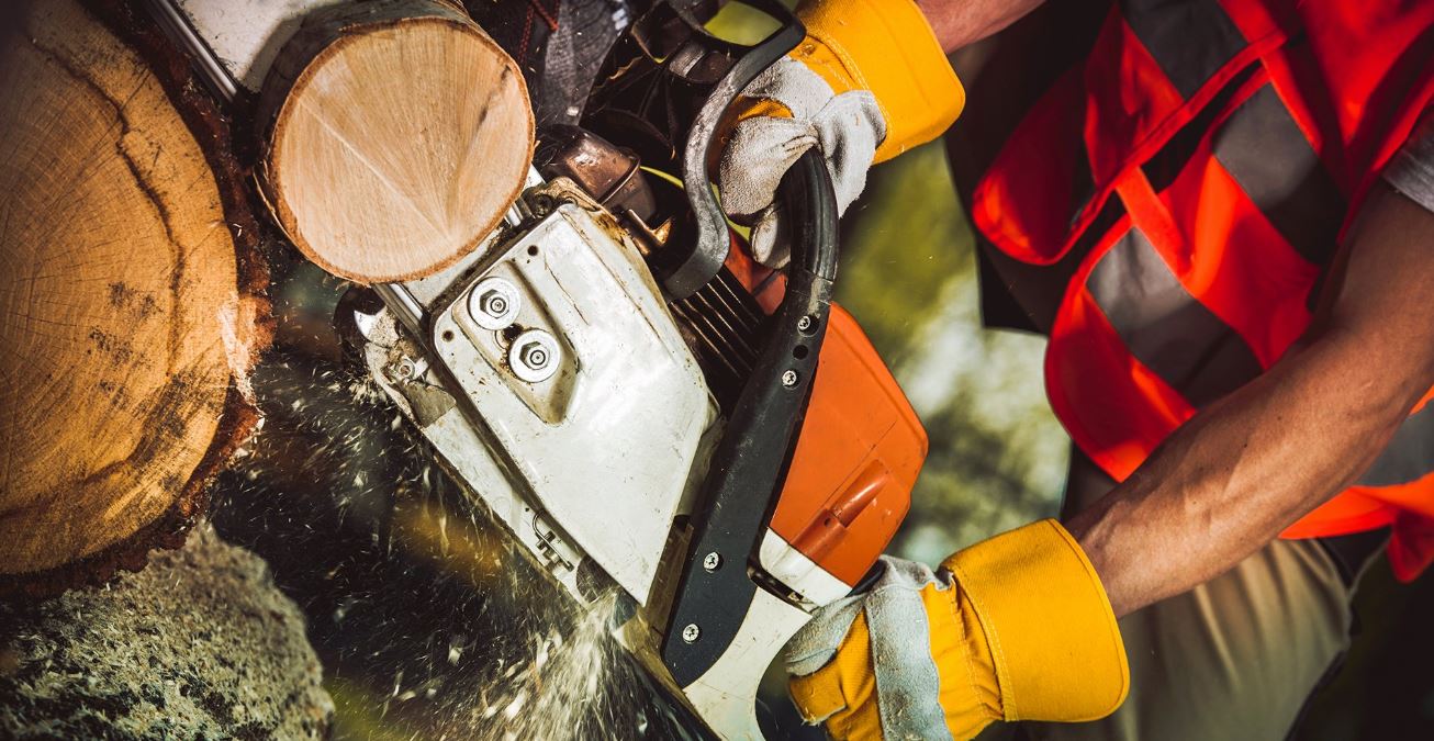 Stump grinding and removal