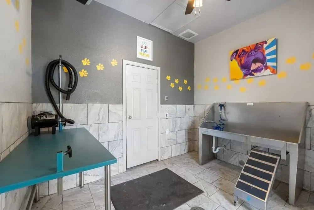 Dog grooming room with grooming table, sink, and steps. Grey and yellow accents with a dog art piece.