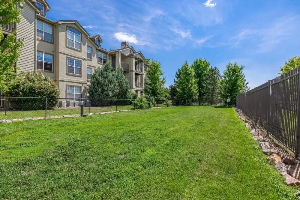 A grassy yard next to an apartment building and a black fence under a blue sky.