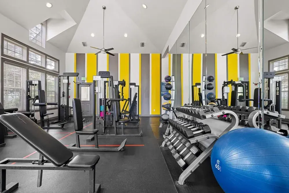 Gym interior with various exercise machines, free weights, a blue exercise ball, and a yellow and gray accent wall.