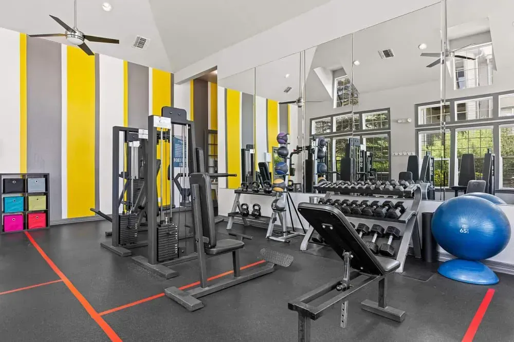 Gym interior with various exercise equipment, including weights, machines, and a blue exercise ball. Gray, yellow, and white wall stripes.