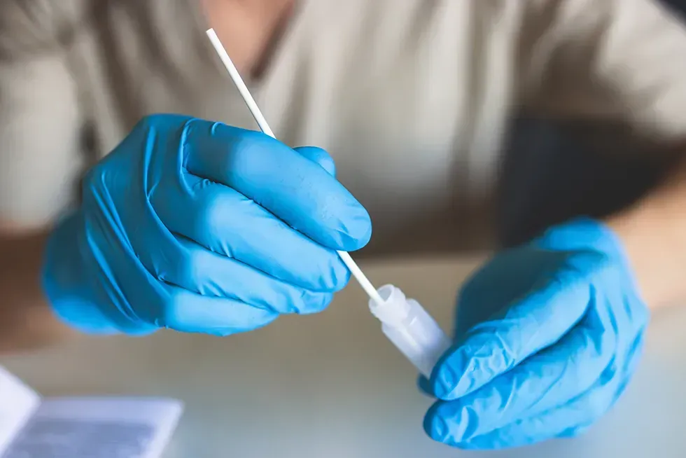 A person wearing blue gloves is holding a swab in their hand.