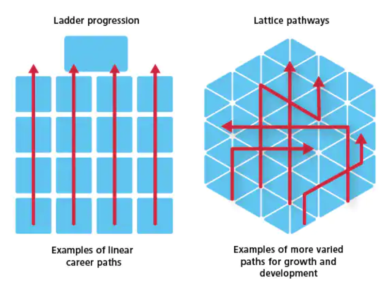 Career Ladder Vs Career Lattice Visual