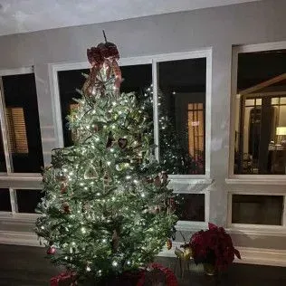 Christmas tree with ornaments and lights in front of a window. A red bow is on top.