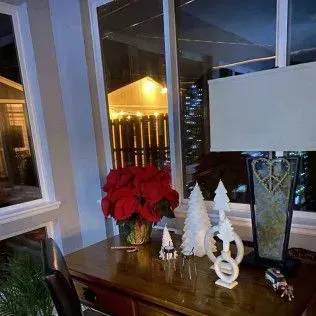 Wooden desk with poinsettia, Christmas decorations, and a lamp in front of a window at night.