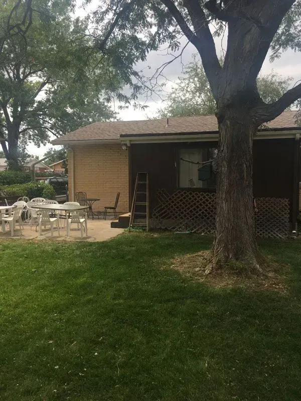 Backyard with brown house, patio furniture, a ladder, and a large tree.