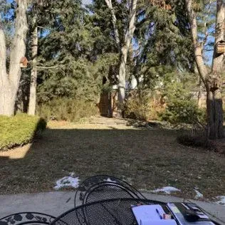 A backyard scene with trees, bushes, and a table in the foreground. Patches of snow on the ground.