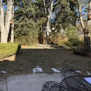 Backyard with trees, brown grass, a concrete patio with black metal chairs, and patches of snow.
