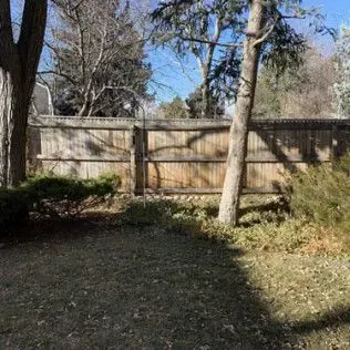 Wooden fence in a yard with trees, bushes, and a shadow.