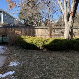 Backyard with a wooden fence, evergreen bushes, and a tree with a birdhouse. Patches of snow on the ground.