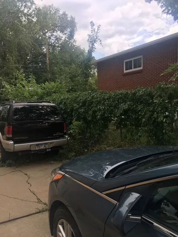 Black SUV parked in a driveway next to a blue car, brick house in the background. Dense green bushes and trees surround.