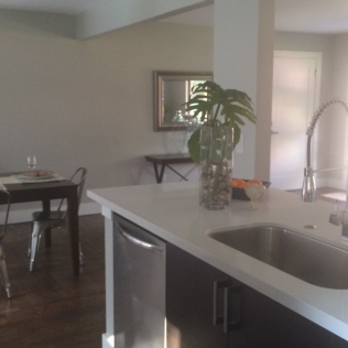 Kitchen with countertop, sink, and leafy plant. Dining table and mirror in the background.