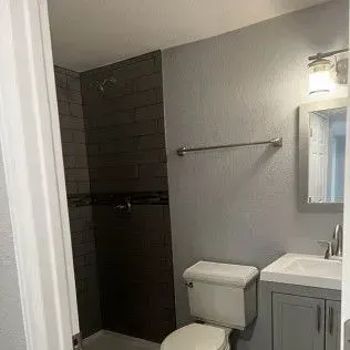 A bathroom with gray walls and a dark-tiled shower, white toilet, and gray vanity with sink.