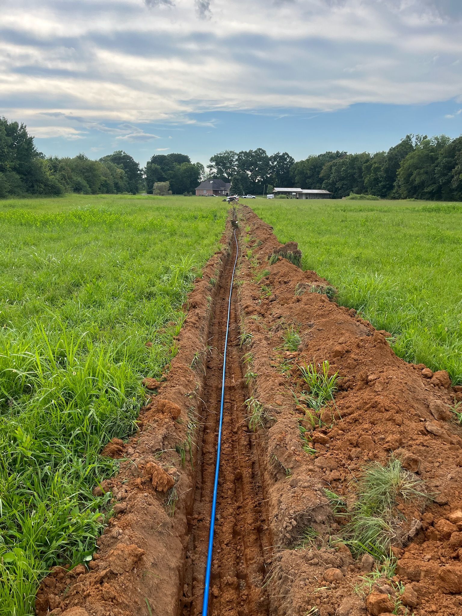 A blue hose is laying in the dirt in a field.