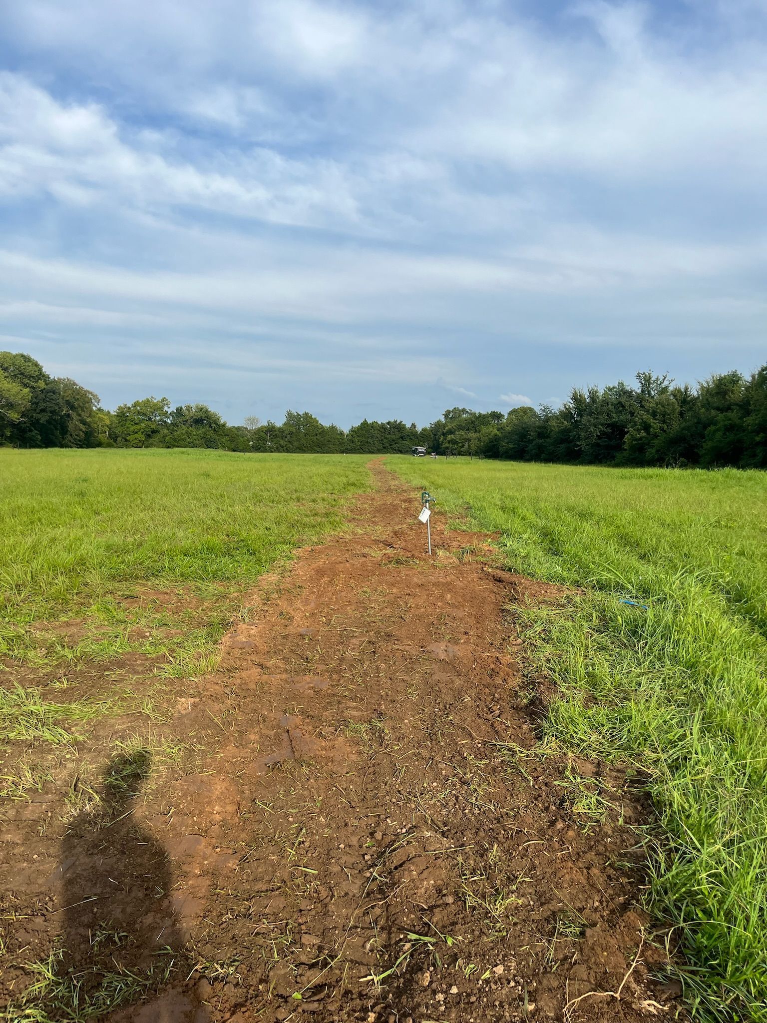 A dirt path going through a grassy field with trees in the background.
