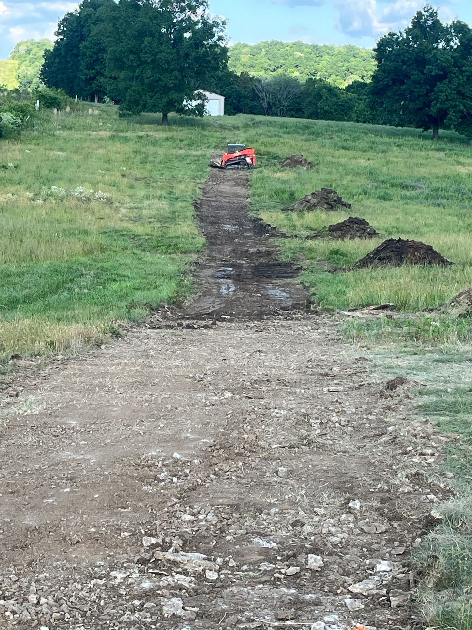 A dirt road going through a grassy field.