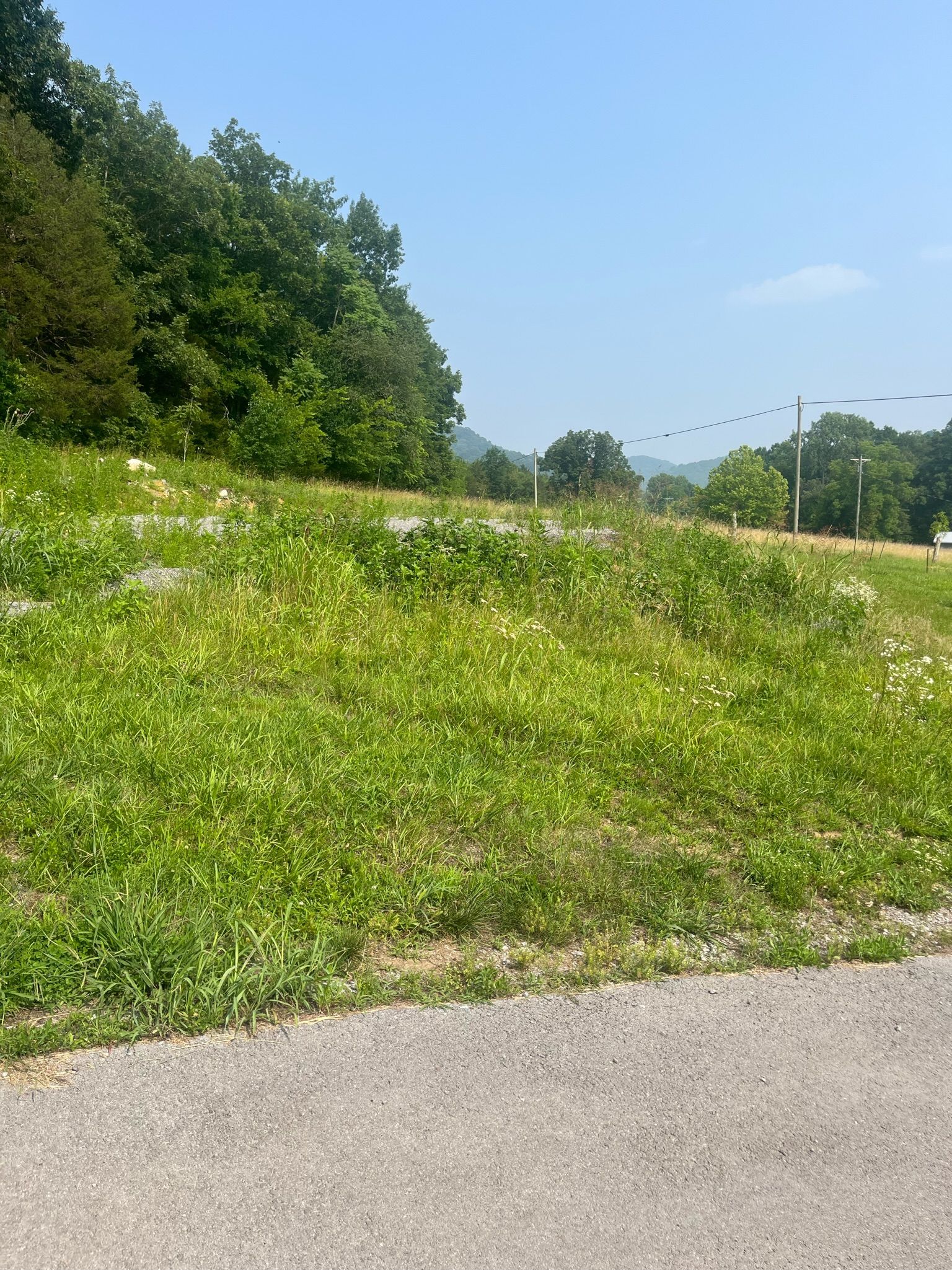 A road going through a grassy field with trees in the background.