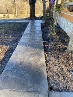 A concrete walkway leading to a pool with a tree in the background.