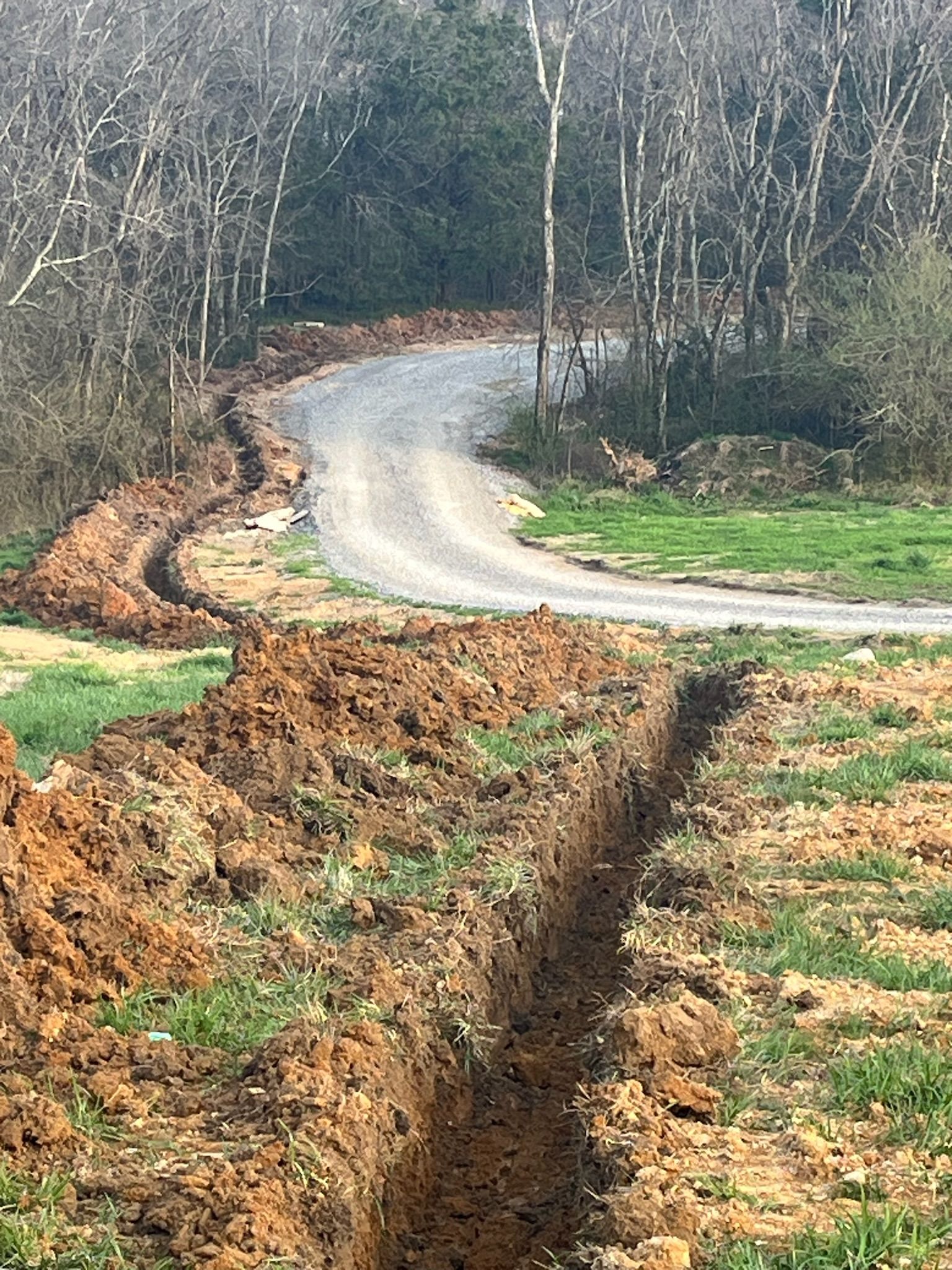 A dirt road going through a field with trees in the background.
