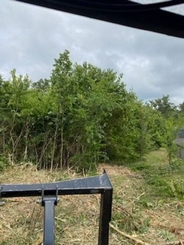A fork is sitting in the middle of a field with trees in the background.
