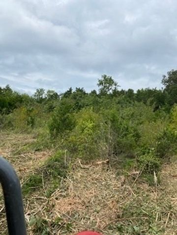 A person is standing in a field with trees in the background.