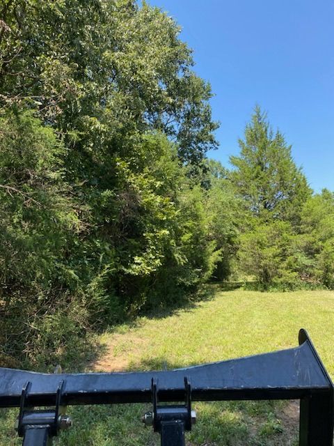 A fence surrounds a grassy field with trees in the background.