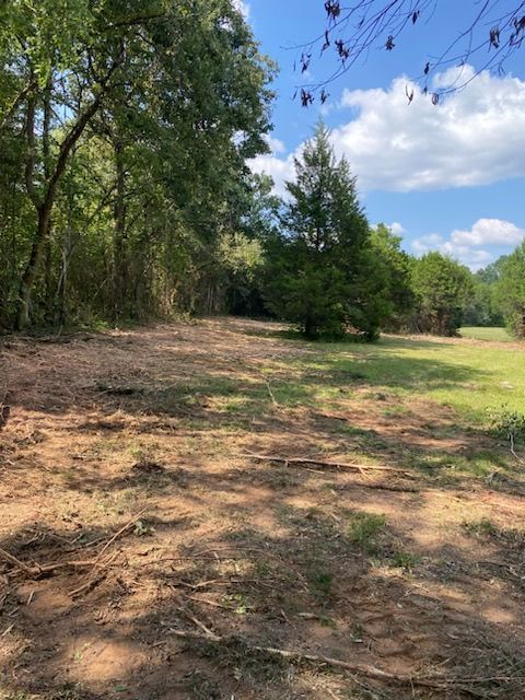 A dirt field with trees in the background and a blue sky