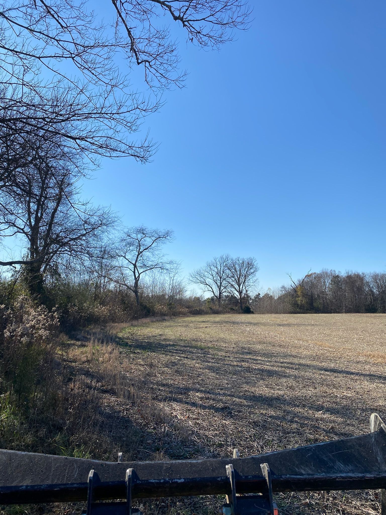 A large field with trees in the background and a blue sky in the background.