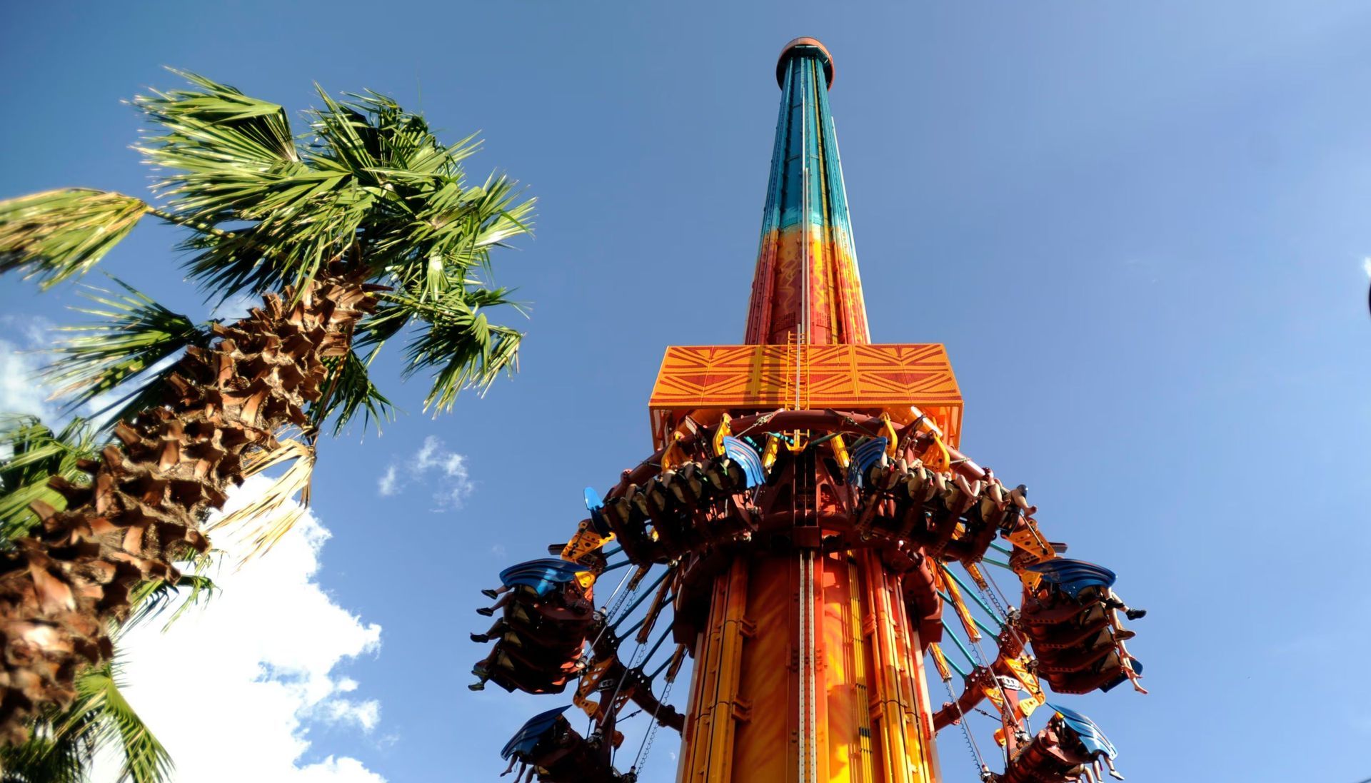 A group of people are riding a roller coaster at an amusement park.