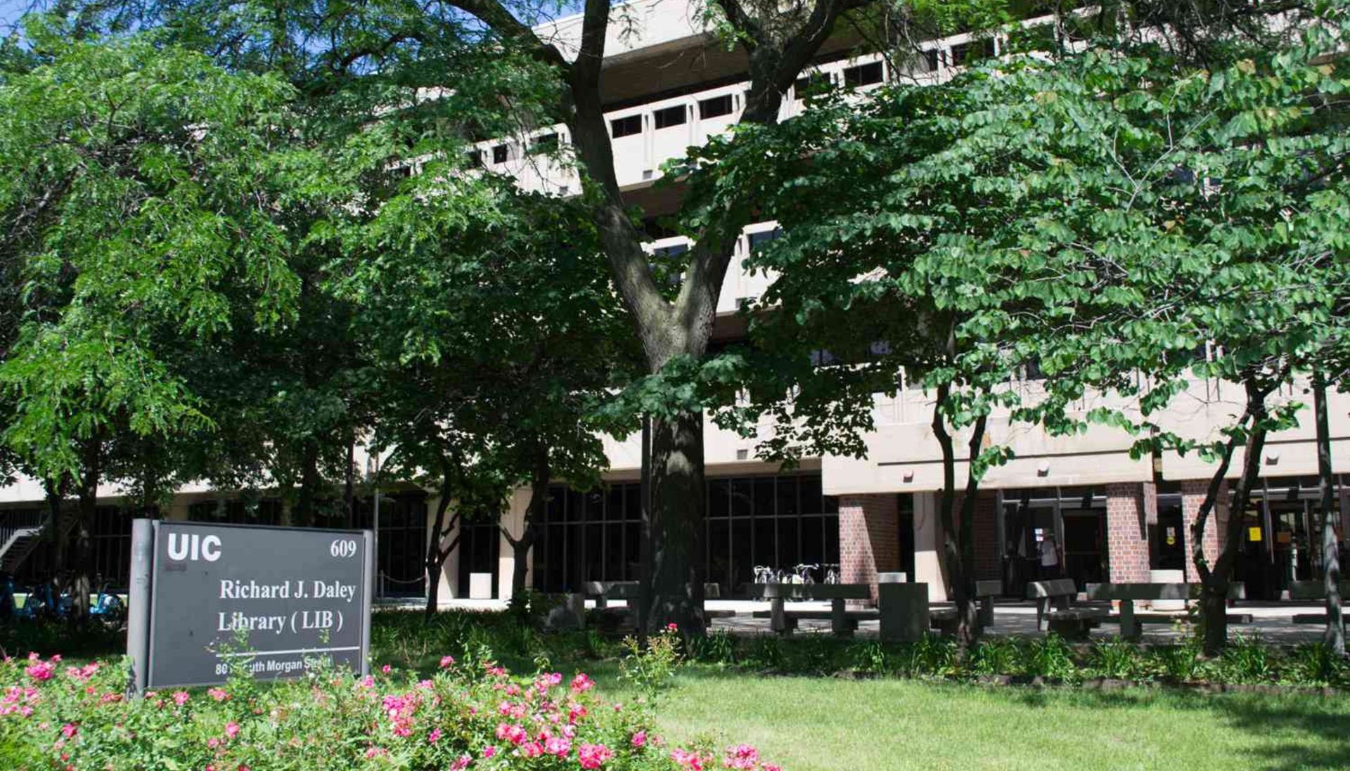 University of Illinois Chicago R.J. Daley Library in Chicago with Trees in Front