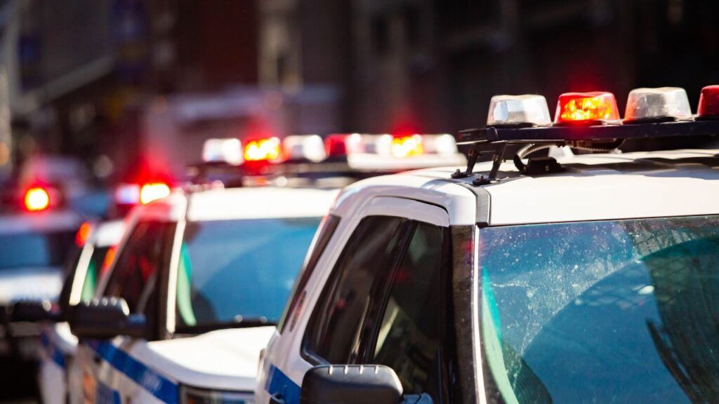 A row of police cars are parked next to each other on a city street.