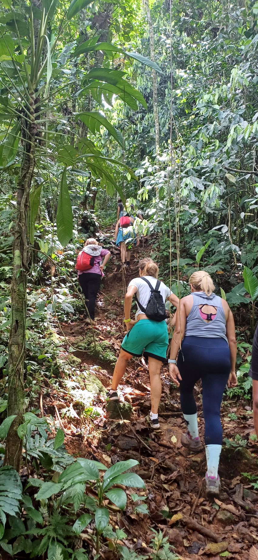 many adventurous activities at camaroncito ecoresort and beach in panama