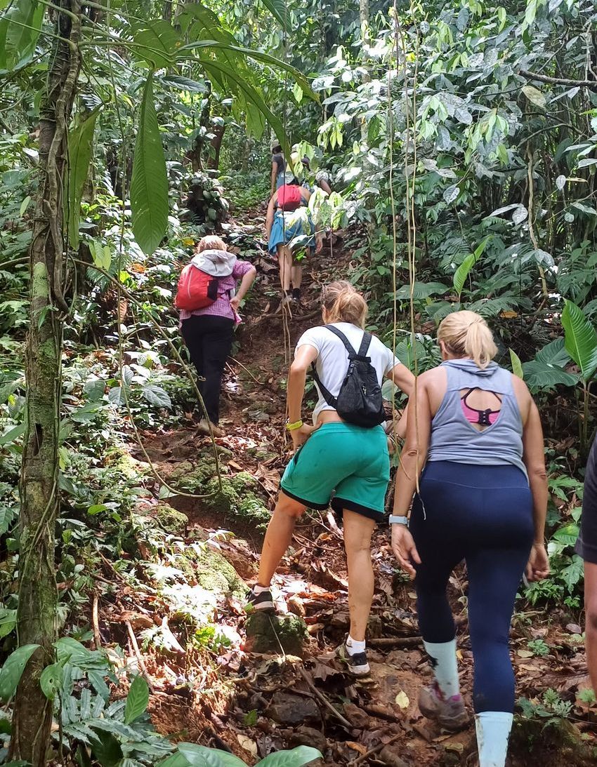 hike to waterfall