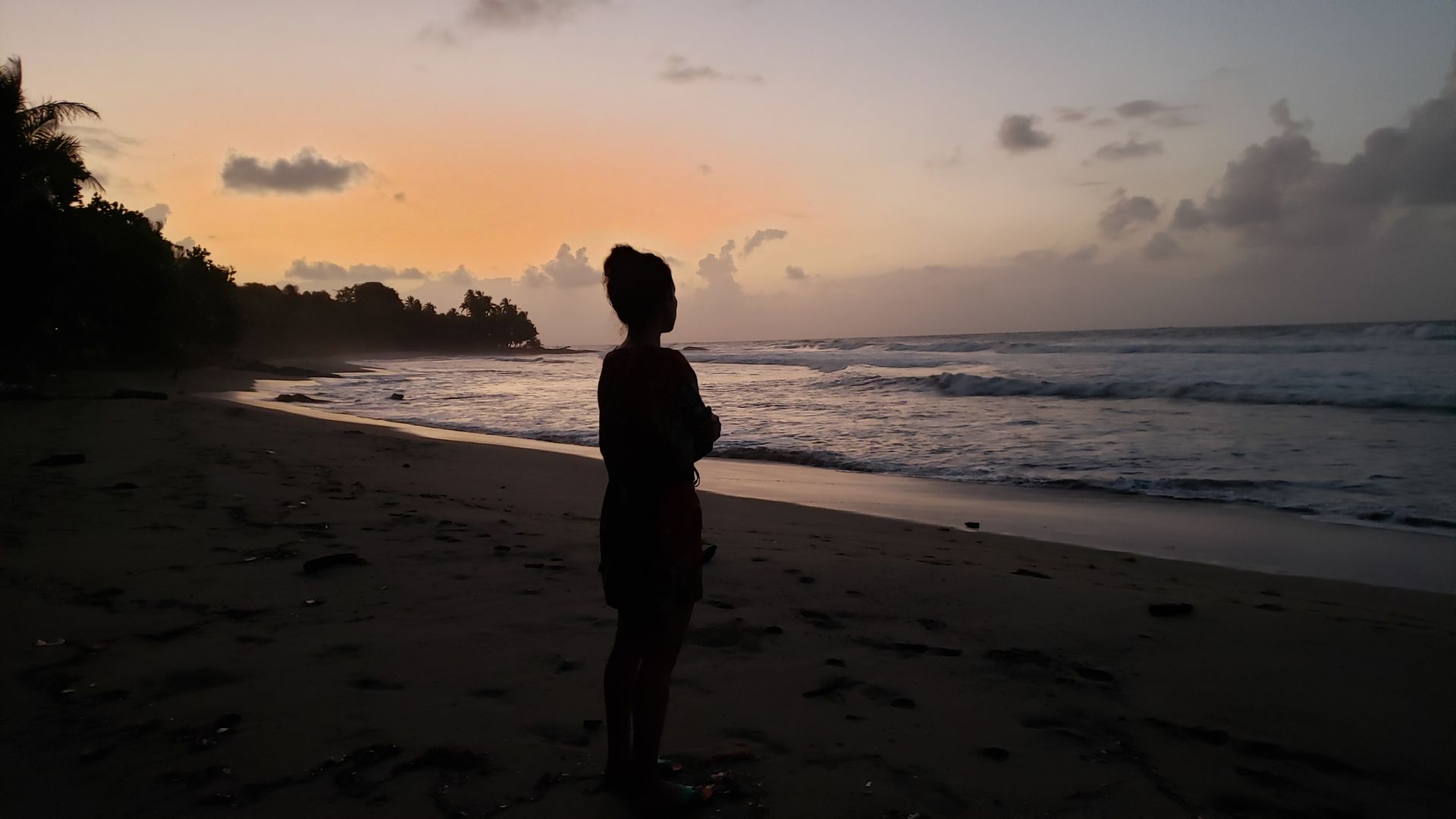 a private and pristine Caribbean beach cove at camaroncito ecoresort and beach