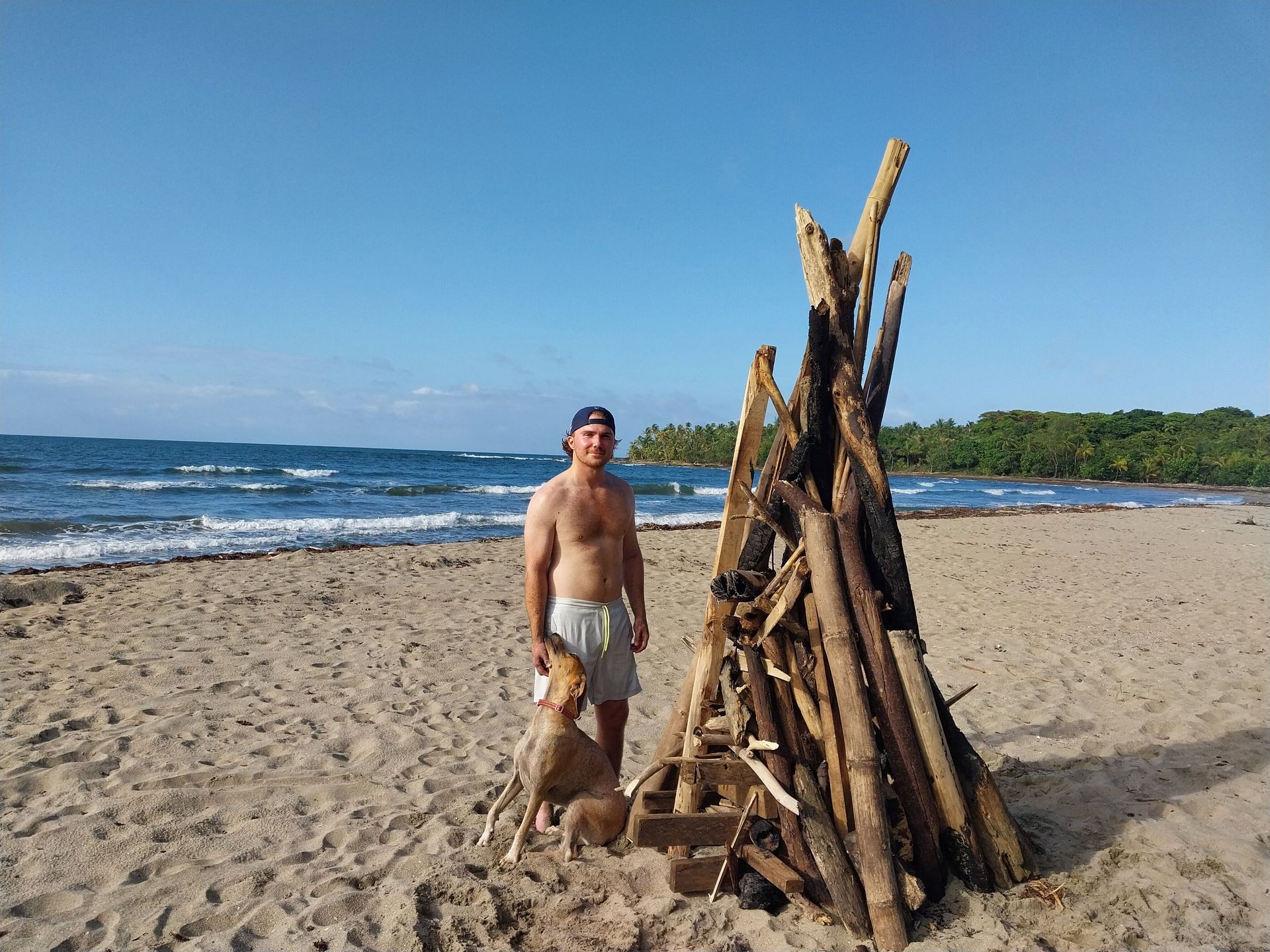 A man and a dog are standing next to a pile of wood on the beach.