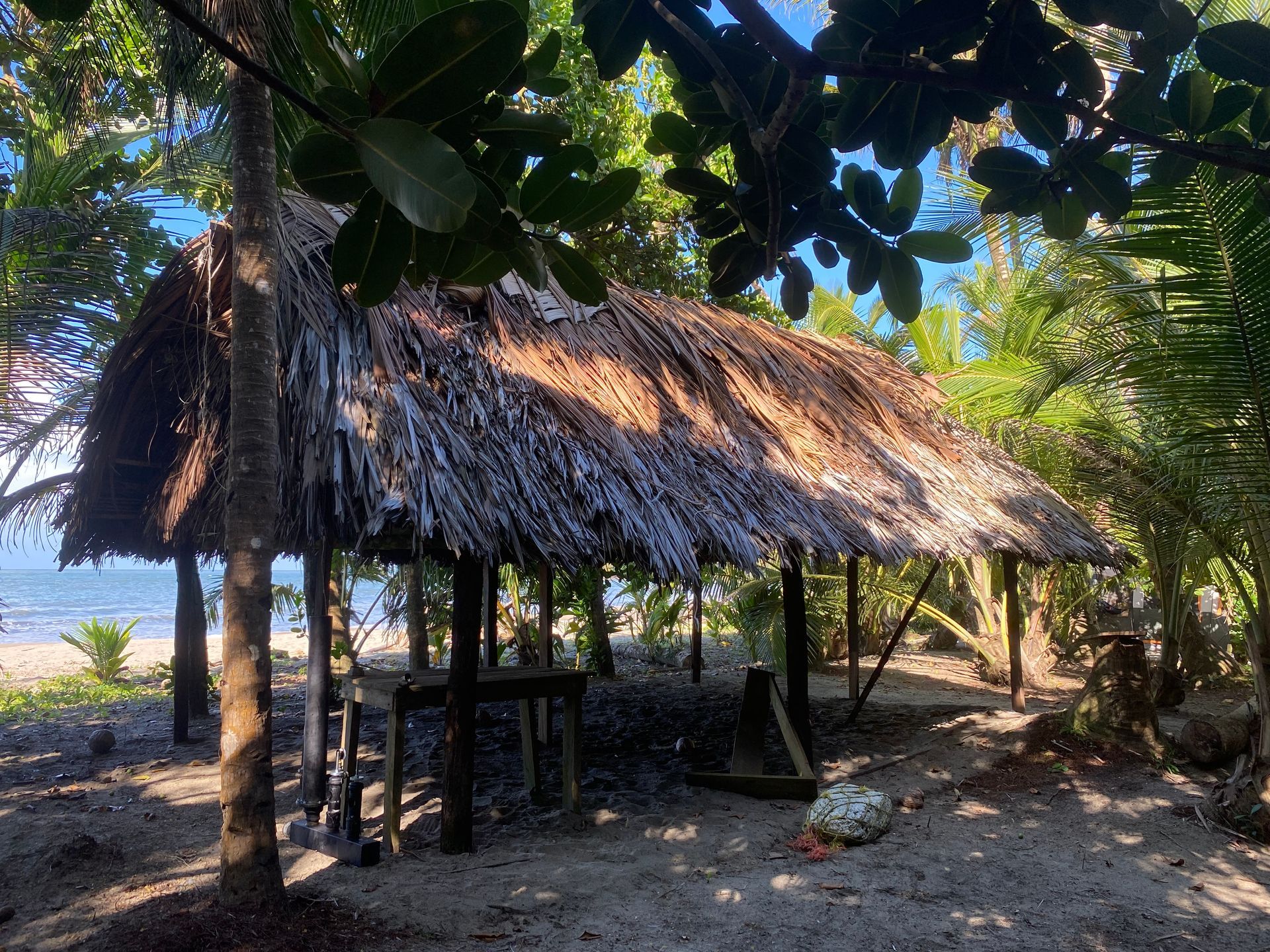 camaroncito ecoresort and beach in panama