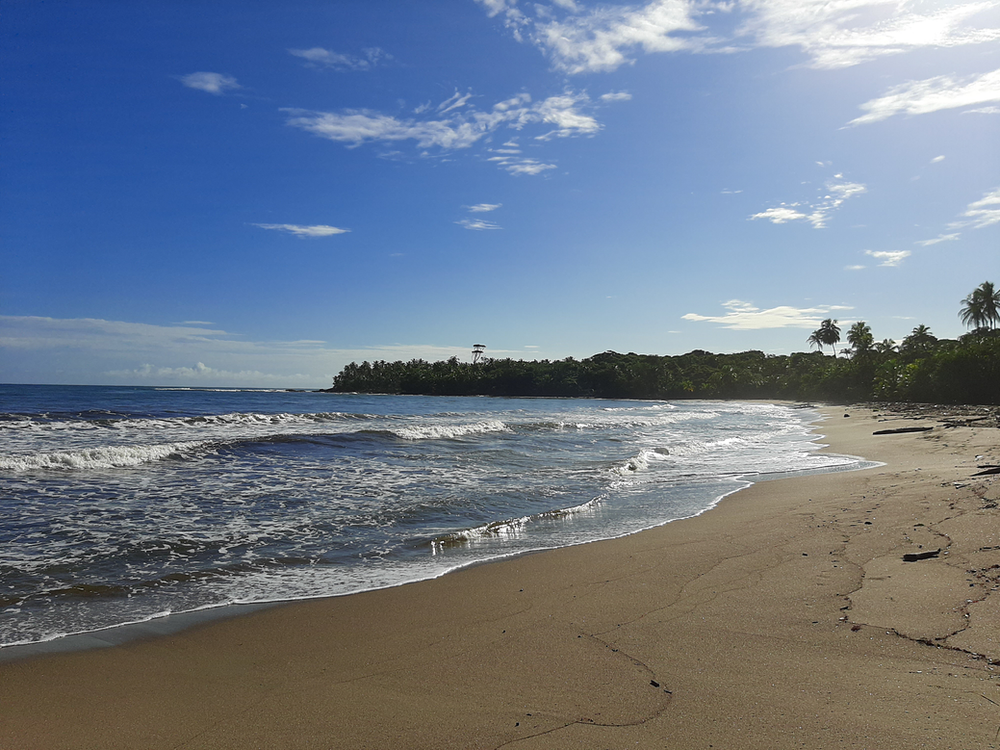 camaroncito beach on Panama Caribbean