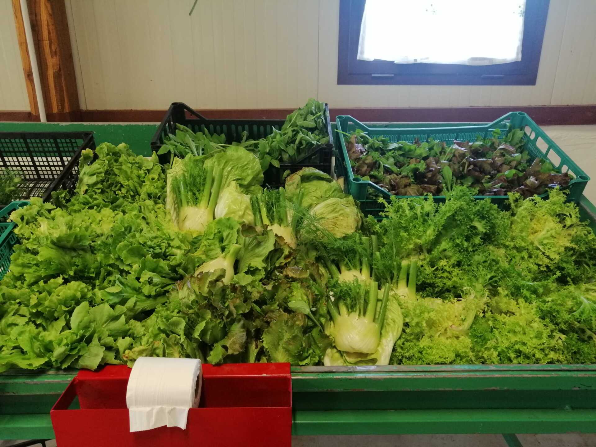 tavolo pieno di verdure