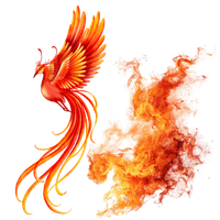 Phoenix Rising