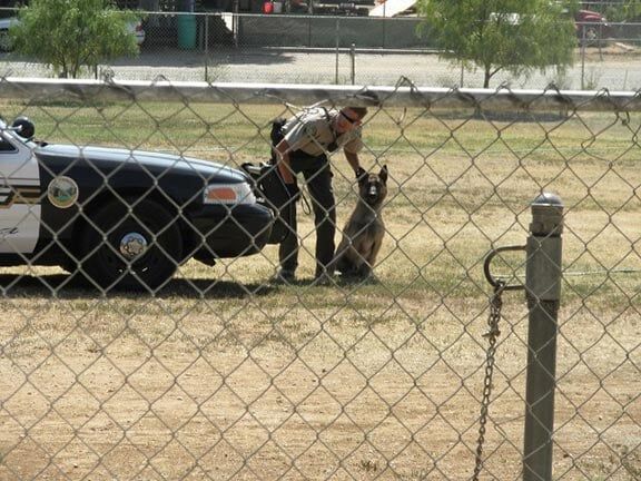 Police with K9 Dog — Riverside, CA — Cottonwood Montessori