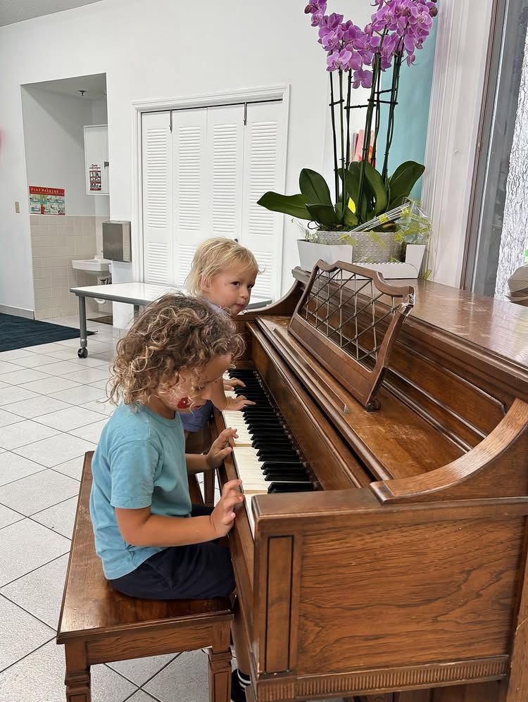 Two children playing a wooden piano. A flowering plant is in the background. Bright, indoor setting.