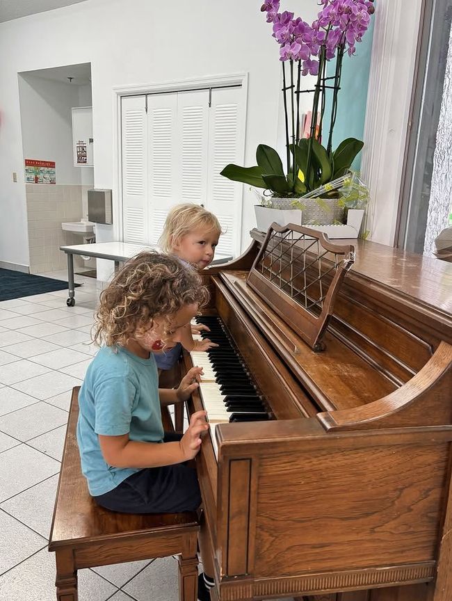 Two children playing a wooden piano. A flowering plant is in the background. Bright, indoor setting.